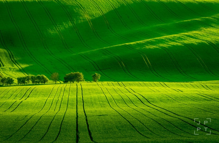 Rolling hills of South Moravia at sunset