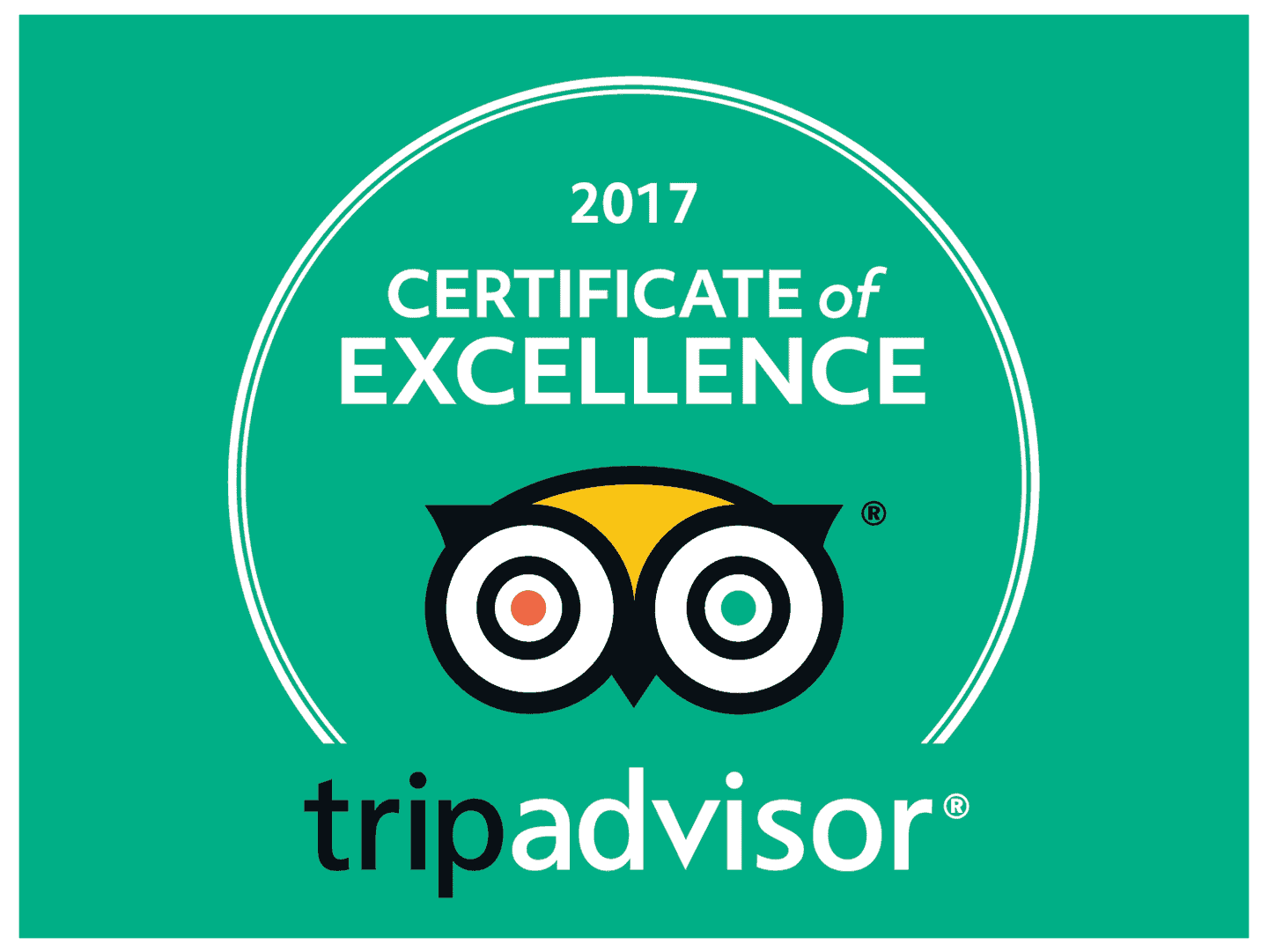 Certificate of excellence 2017
