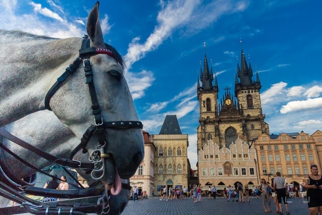 Horse carts at Old Town Square in Prague