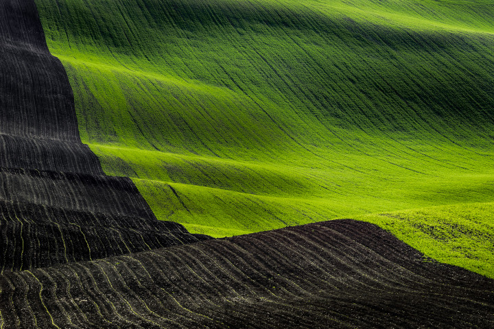 Rolling hills of South Moravia